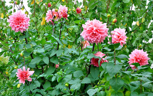 579709 (a): :2560x1600